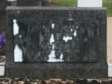 image of grave number 892232